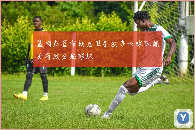 篮网新签布朗后卫引发争议球队能否有效分配球权